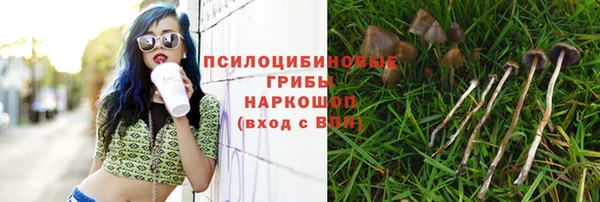 марки nbome Алзамай